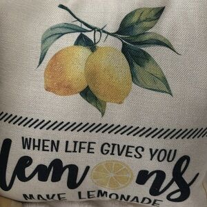 NEW Lemon 🍋 Pillow Sweet Lemon Design ONE PILLOW New Final Sale